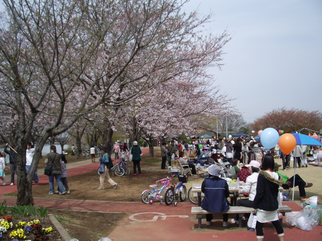 2009　桜まつり